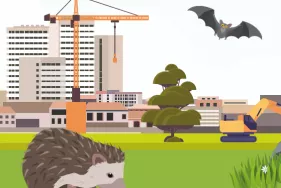 Agrandir l'image - fenêtre modale