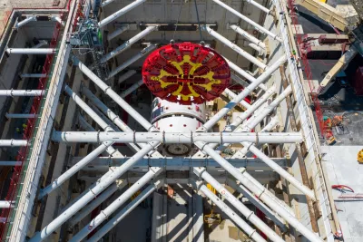 Juillet 2024 - Raisin -  (Agrandir l'image - fenêtre modale)