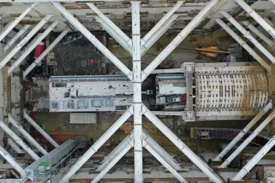 Octobre 2024 - Raisin -  (Agrandir l'image - fenêtre modale)